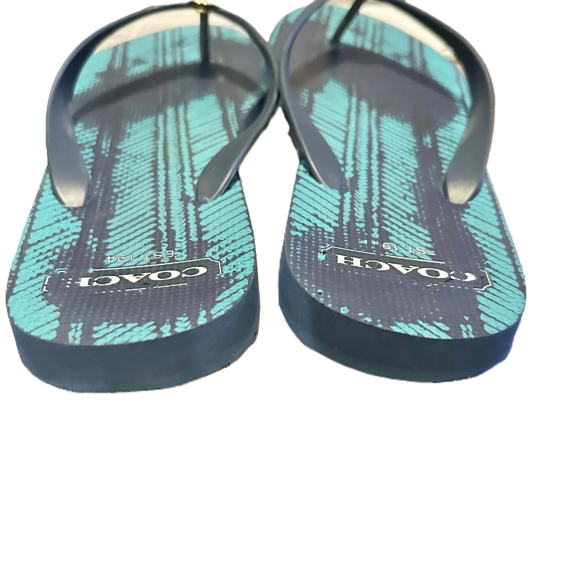 Blue Sandals Designer By Coach Size: 12